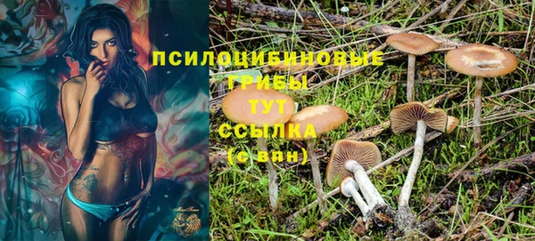 герыч Богородицк