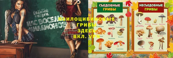 кокаин колумбия Богданович