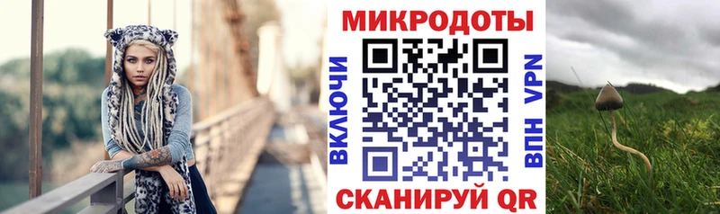 где найти наркотики  Когалым  Псилоцибиновые грибы прущие грибы 